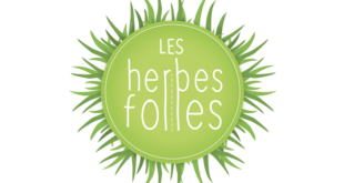 logo Les Herbes folles, atelier mobile de Tiphaine Fatou dans les Hauts-de-France