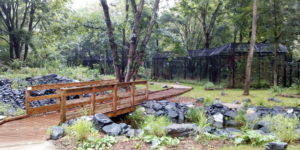 Quelques photos du nouvel enclos qui accueillera notamment les faisans et les cigognes (Ph: JP PLANQUE / RADIO PLUS)